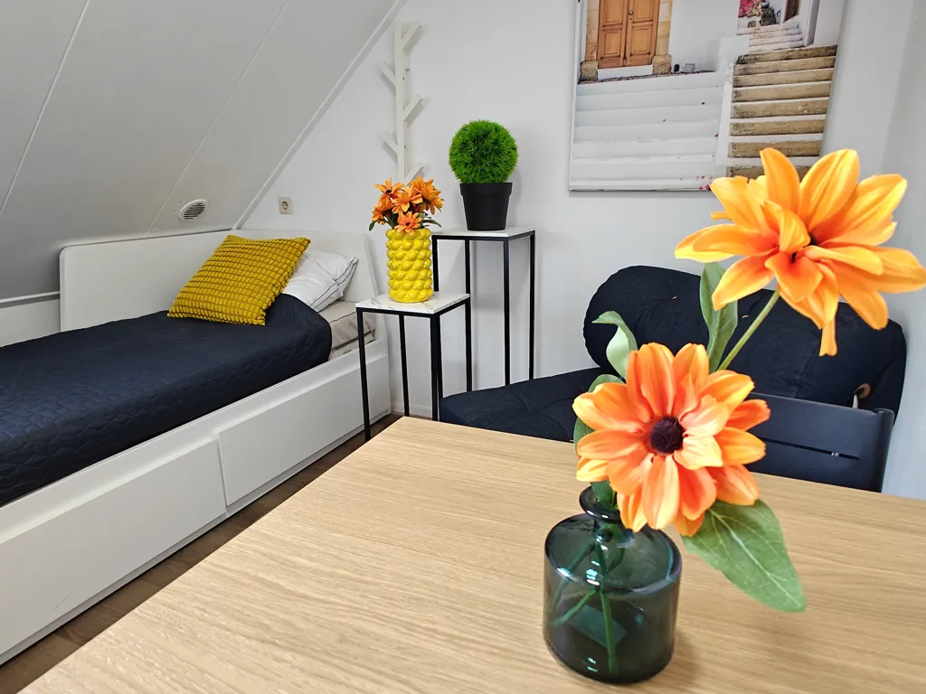 Magamistoad - Smart House with Studio Apartments near Tilburg