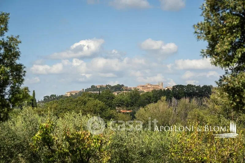 Rustic Farmhouse with Pool in Montepulciano