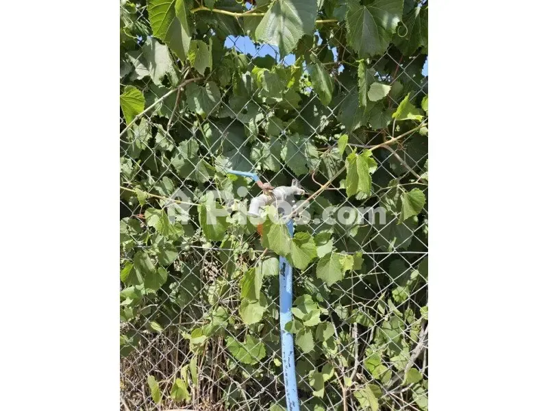 Aed - Rustic Plot with Water and Light in Camino La Torca