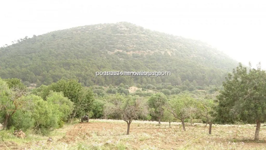 Garden - Rustic Plot with Panoramic Views in Llucmajor