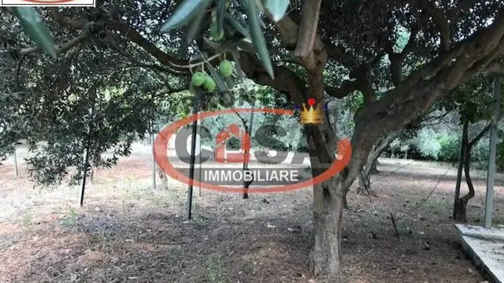 Jardin - Restored Villa with Olive Grove in Marsala