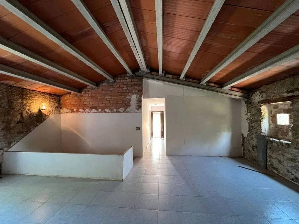Toad - Rustic Masia with Finca in Vall-llebrerola