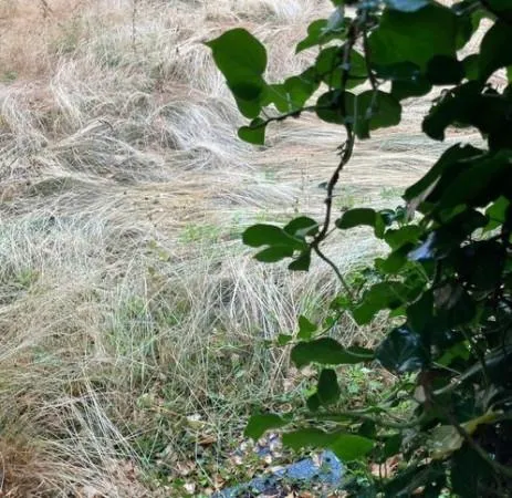 Villa bifamiliare con giardino a Polinago