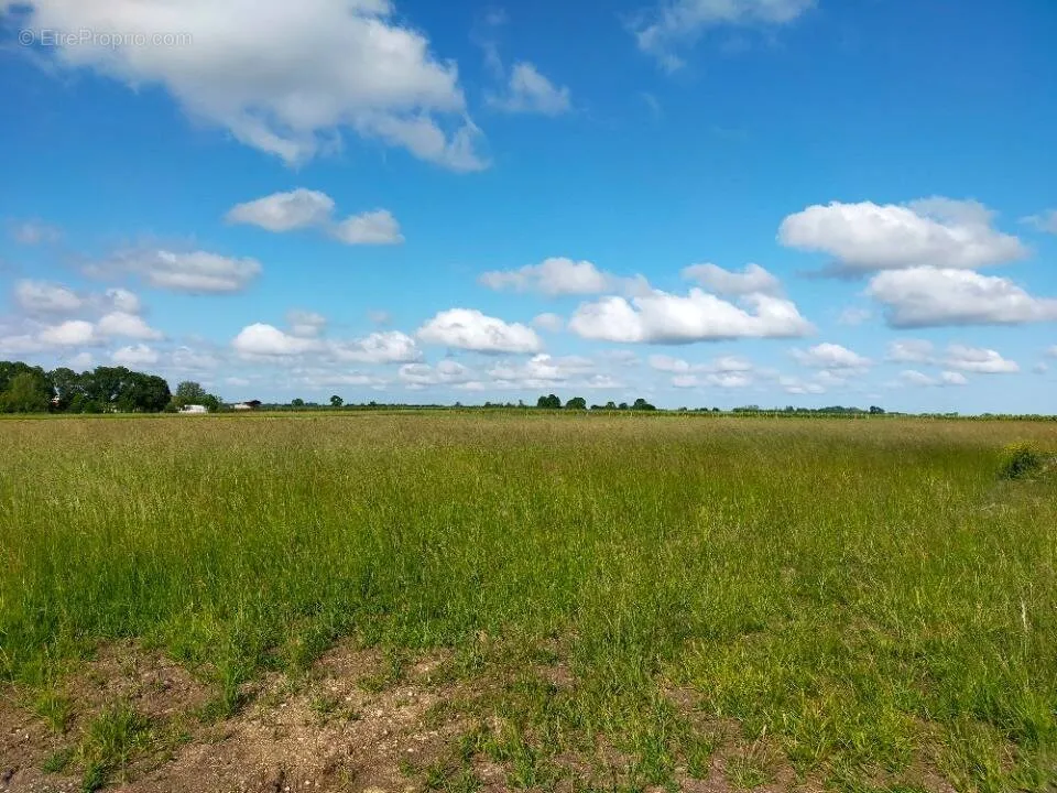 Aed - Flat Land with Immediate Utilities in Saint-Brice