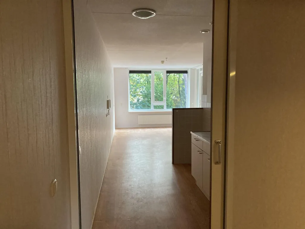 Esik - 3-Bedroom Portiekflat in Sperwerlaan