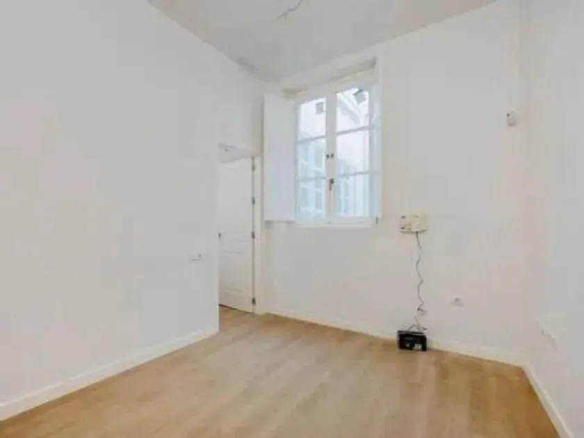 Toad - New Flat in Historic Centre, Cádiz