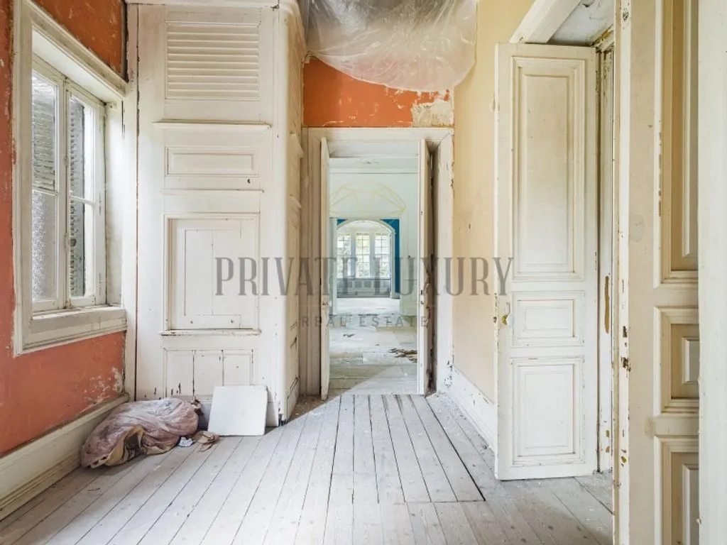 Toad - Historic Quinta with 100 Hectares in Sintra