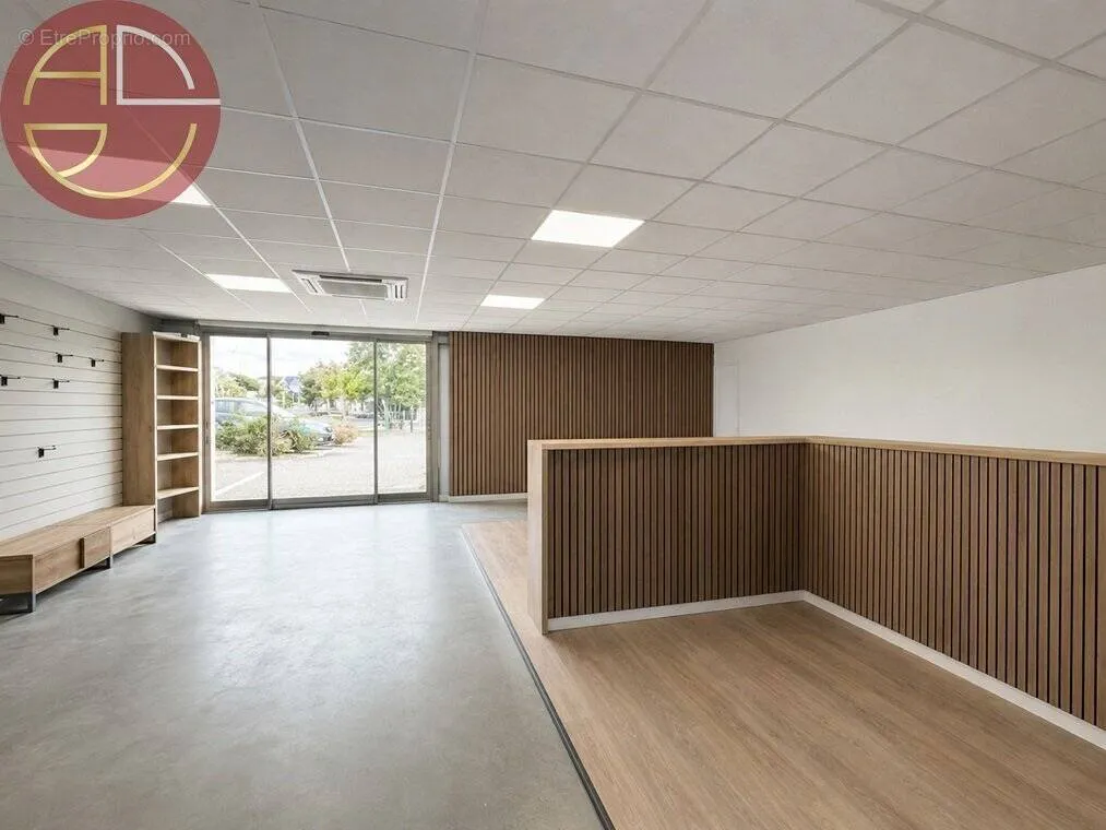 Toad - Commercial Space with Parking in Auterive