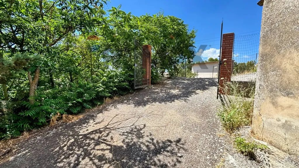 Välivaade - Villa with Olive Grove in Alimena