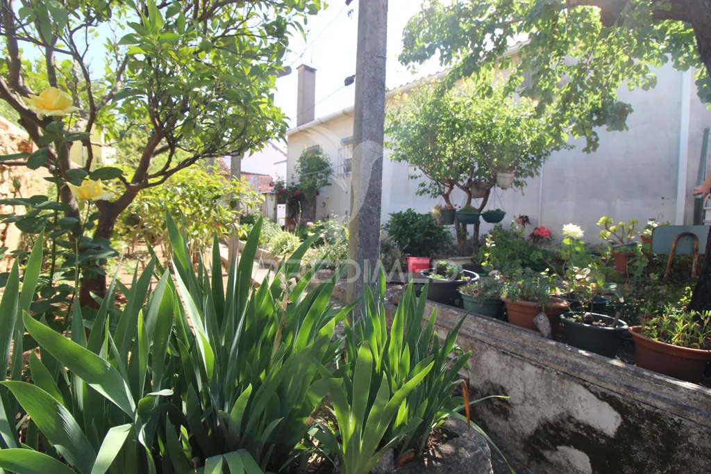 Aed - Country House with Mountain View in Alqueidão