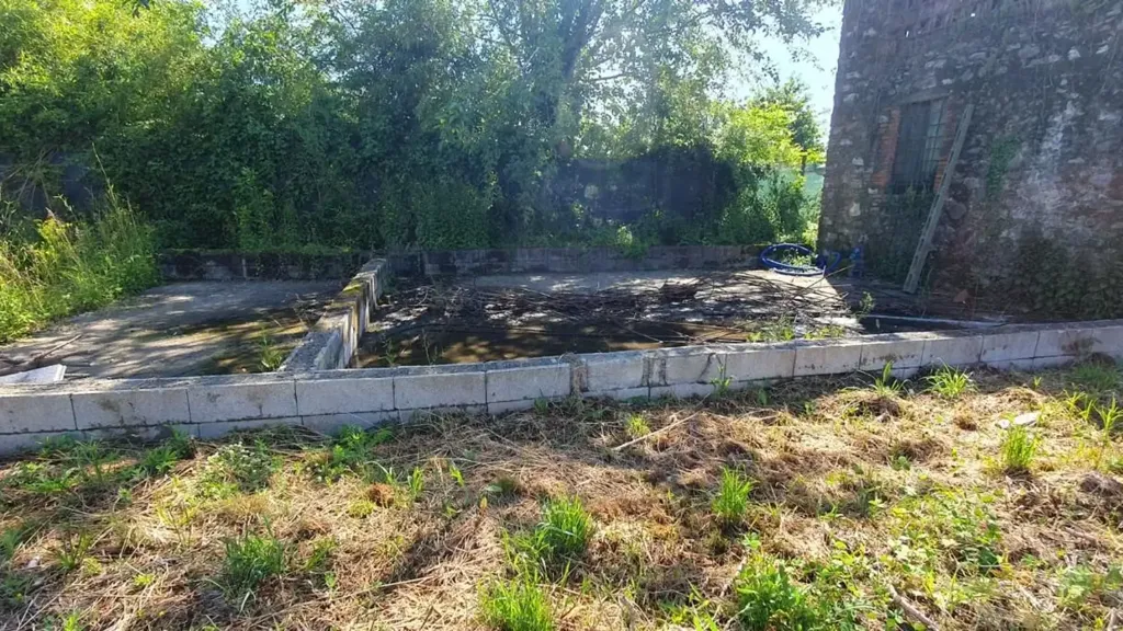 Garden - Rustic Property to Renovate in Capannori