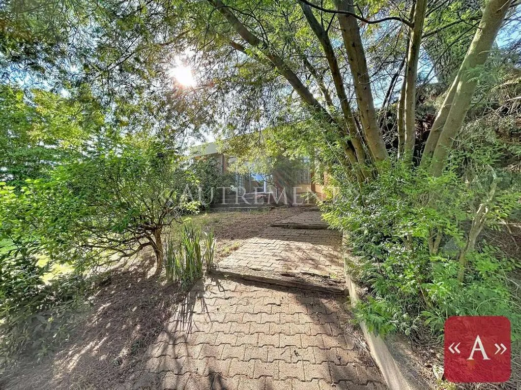 Aed - Architectural House with Panoramic Park View