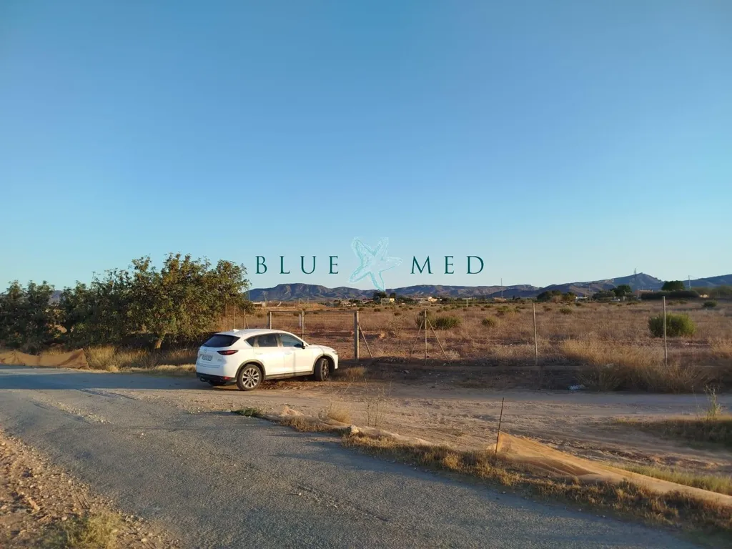 Aed - Rustic Plot with Olive Trees in La Magdalena