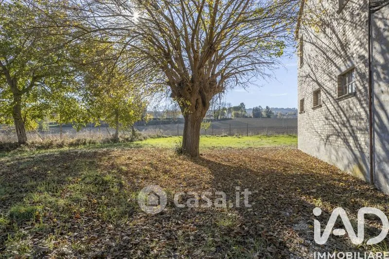 Giardino - Traditional Rustico with Olive Trees in Appignano