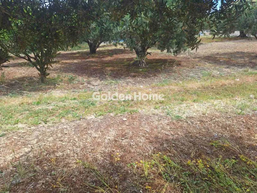 Jardin - Buildable Plot with Sea View in Heraklion