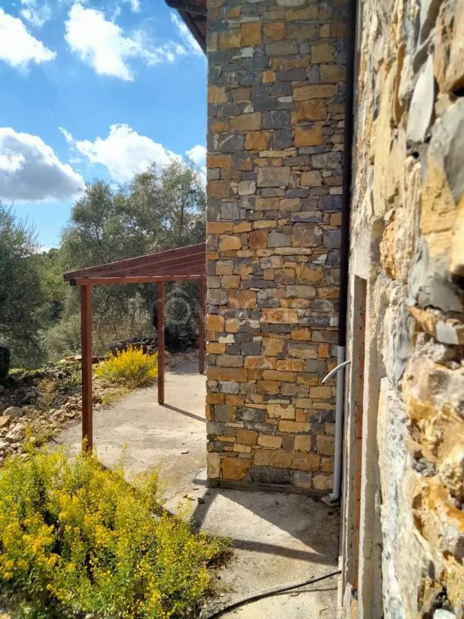 Terrass - Rustic Villa with Olive Grove in Diano San Pietro