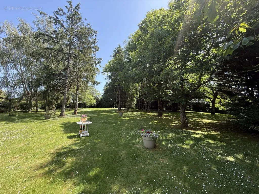 Jardin - Maison Rénovée avec Parc à Crezancy-En-Sancerre
