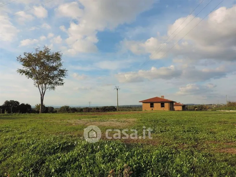 Jardin - Rustic Casale with 3 Hectares in Viterbo