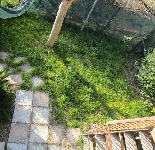 Aed - Villa with Panoramic View in Pesaro