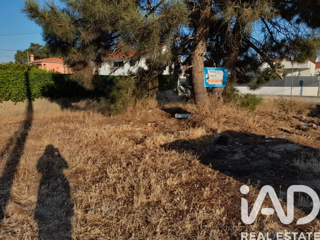 Jardin - Land with Potential in São Simão