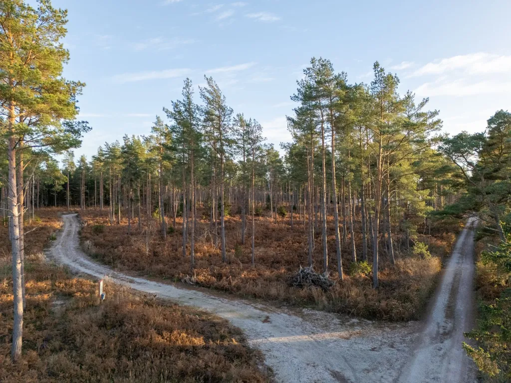 Aed - Unbuilt Plot with Sea Access in Svartdal, Gotland