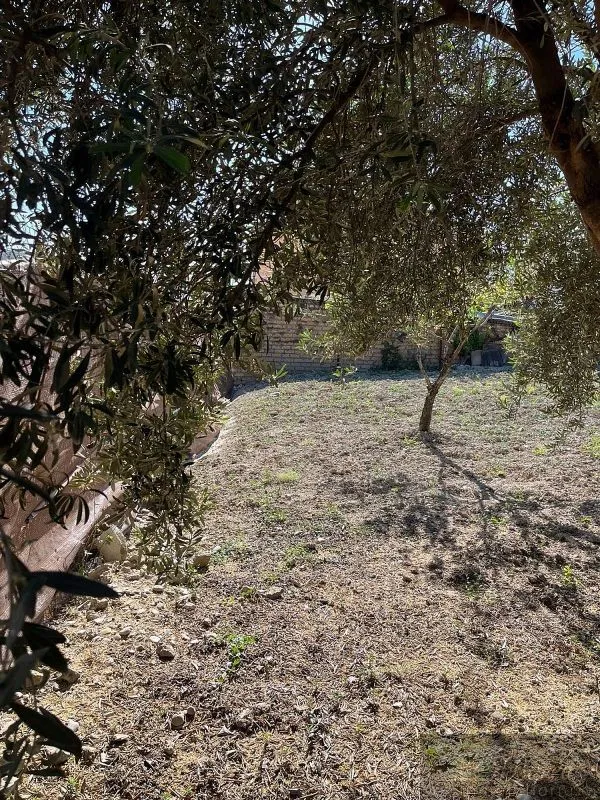 Aed - Plot for Development in Rute