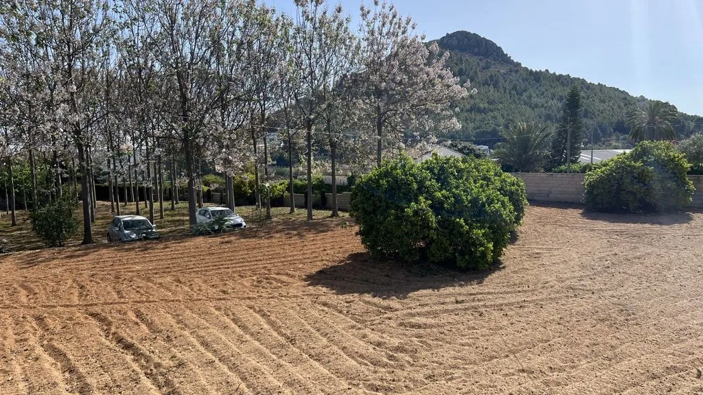 Aed - Luxury House with Warehouse in Pedreguer