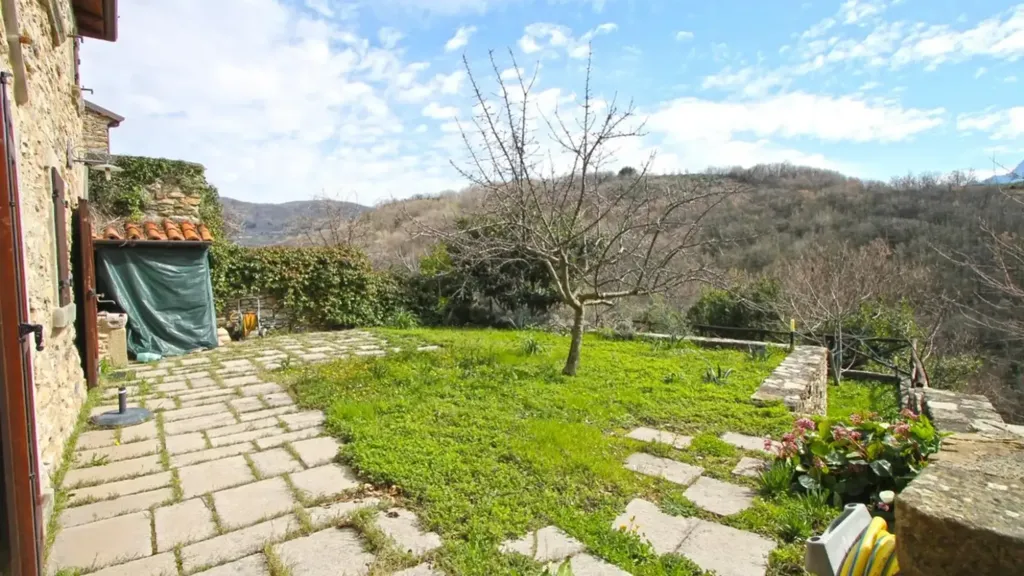 garden