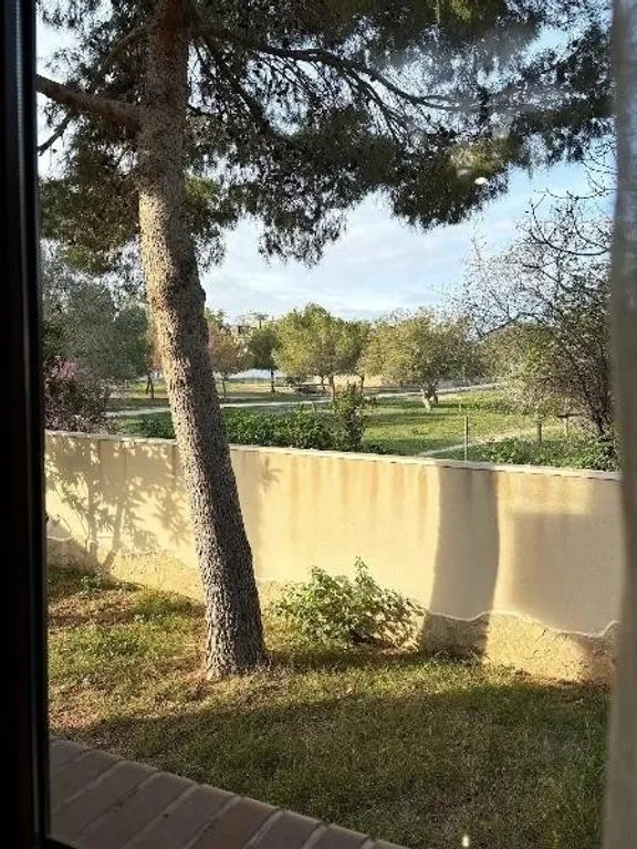 Jardin - Luxury Villa with Pool in Ciudad Quesada