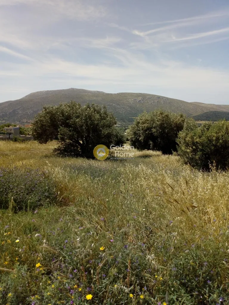 Jardin - Farmhouse with Panoramic View in Lagoni