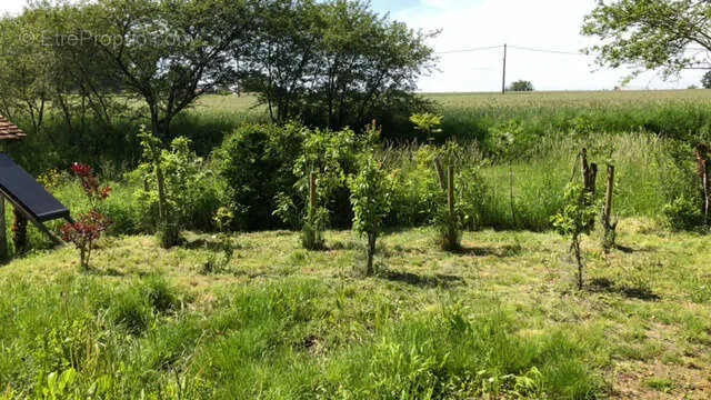 Jardin - Maison de Campagne au Calme avec Jardin à Heugnes