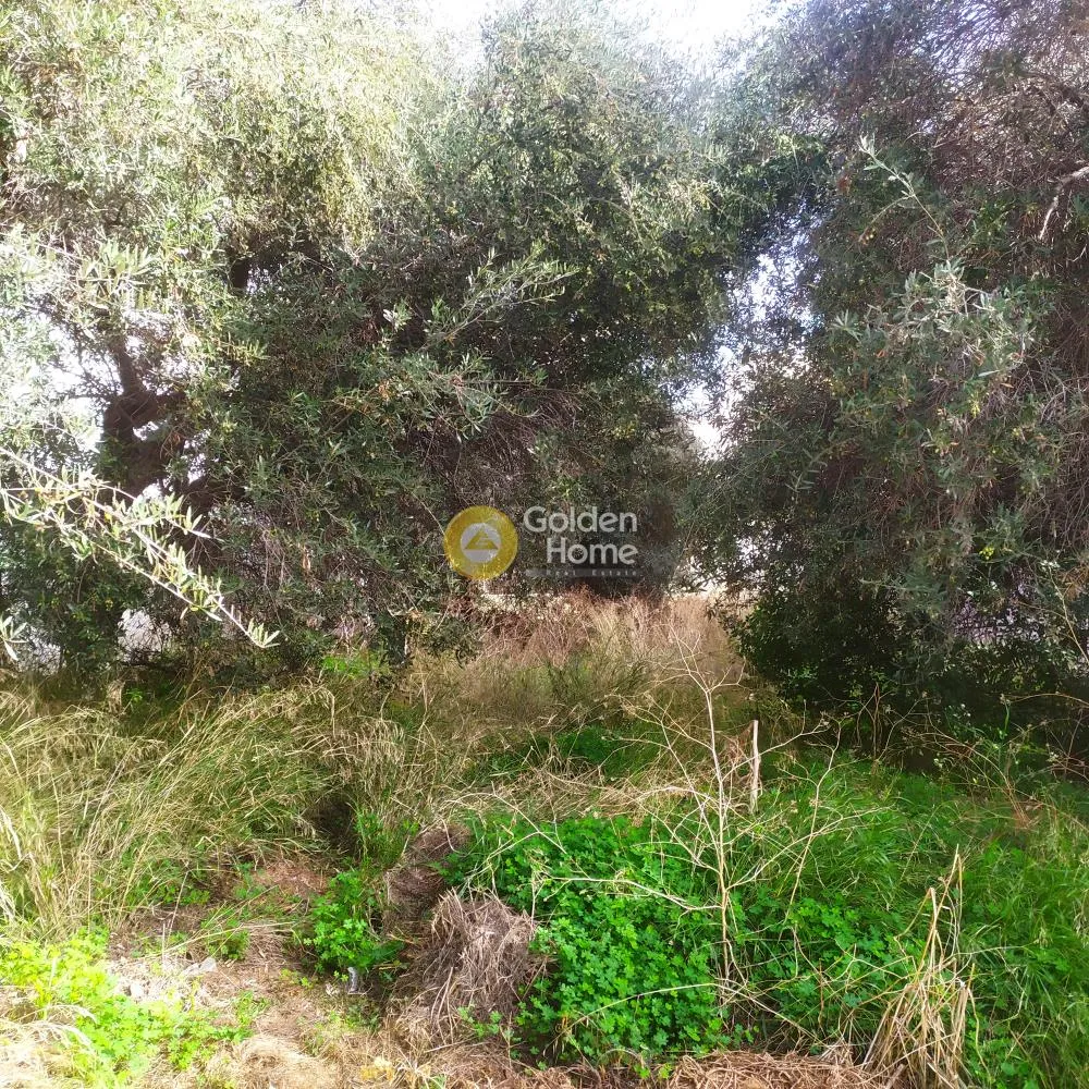 Giardino - Buildable Plot with Sea View in Agios Ioannis Knossou