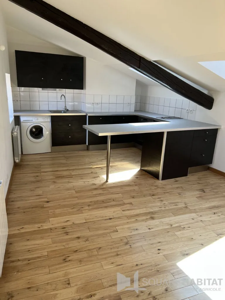 Cuisine - Appartement Charmant sous les Toits à Clermont-Ferrand