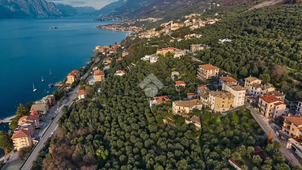 Luxury Villa with Lake View in Brenzone