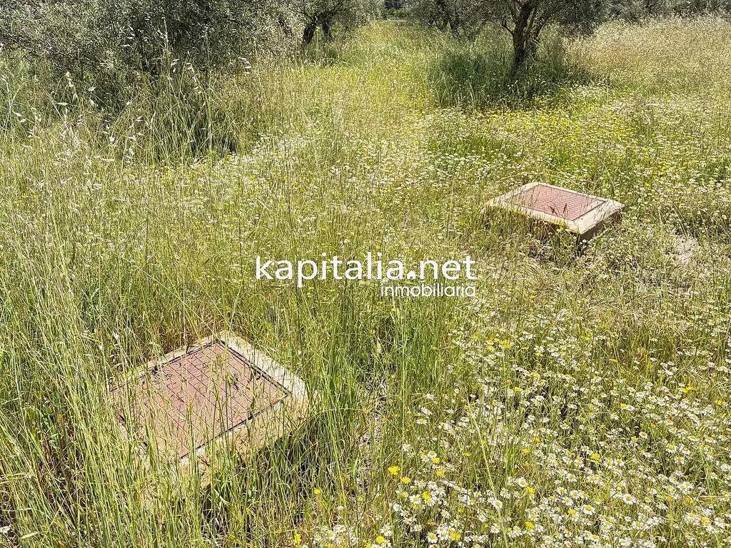 land_plot