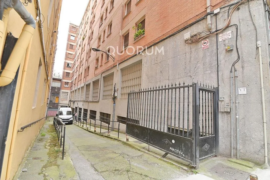 Jardin - Furnished Flat in Bilbao's Centre