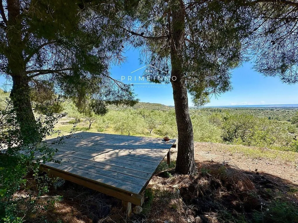 Terrasse - Rustic Estate with Pool and Sea Views near l'Ampolla