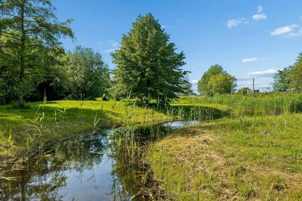 Jardin - Corner House with Garden at Forest Edge in Lelystad