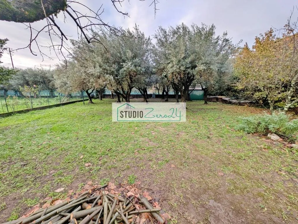 Garten - Luxury Villa with Garden in Seravezza, Tuscany