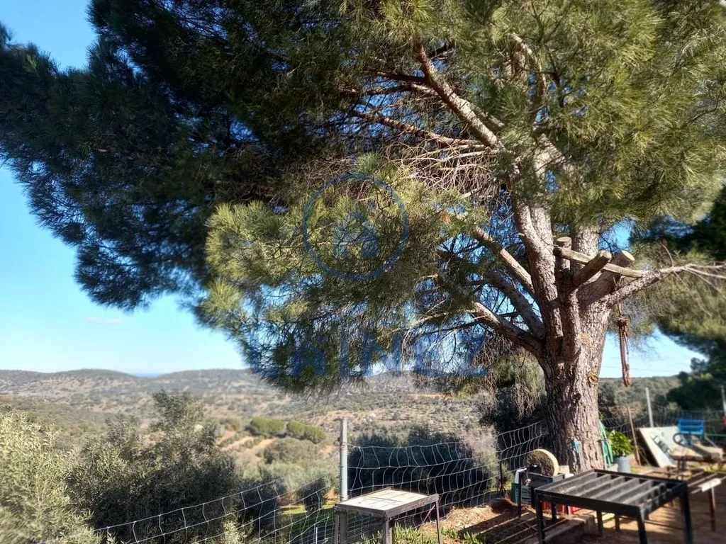 Jardin - Country House with Mountain Views in Villanueva del Rey