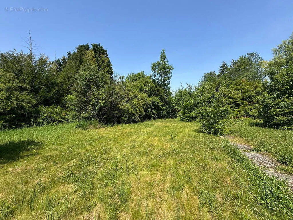Giardino - Buildable Plot with Garden in Airion