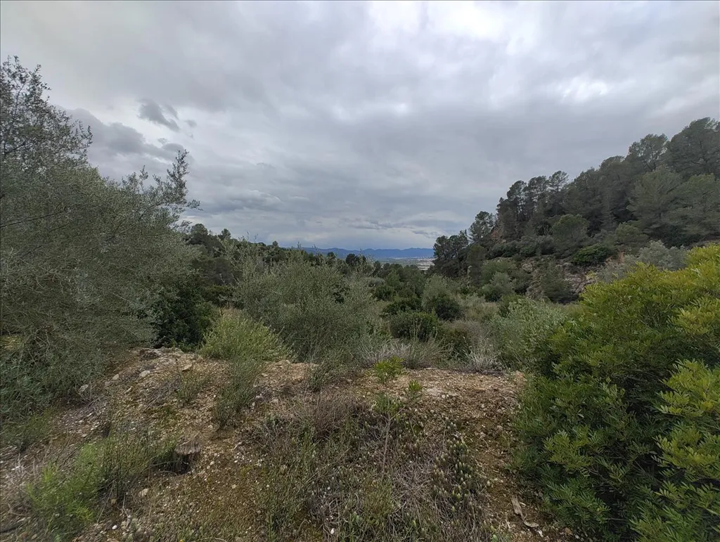 Jardin - Rustic Land with Vineyard in La Llosa de Ranes