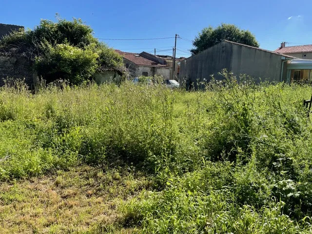 Aed - Rustic House with Garden in Saint-Jean-d’Angély