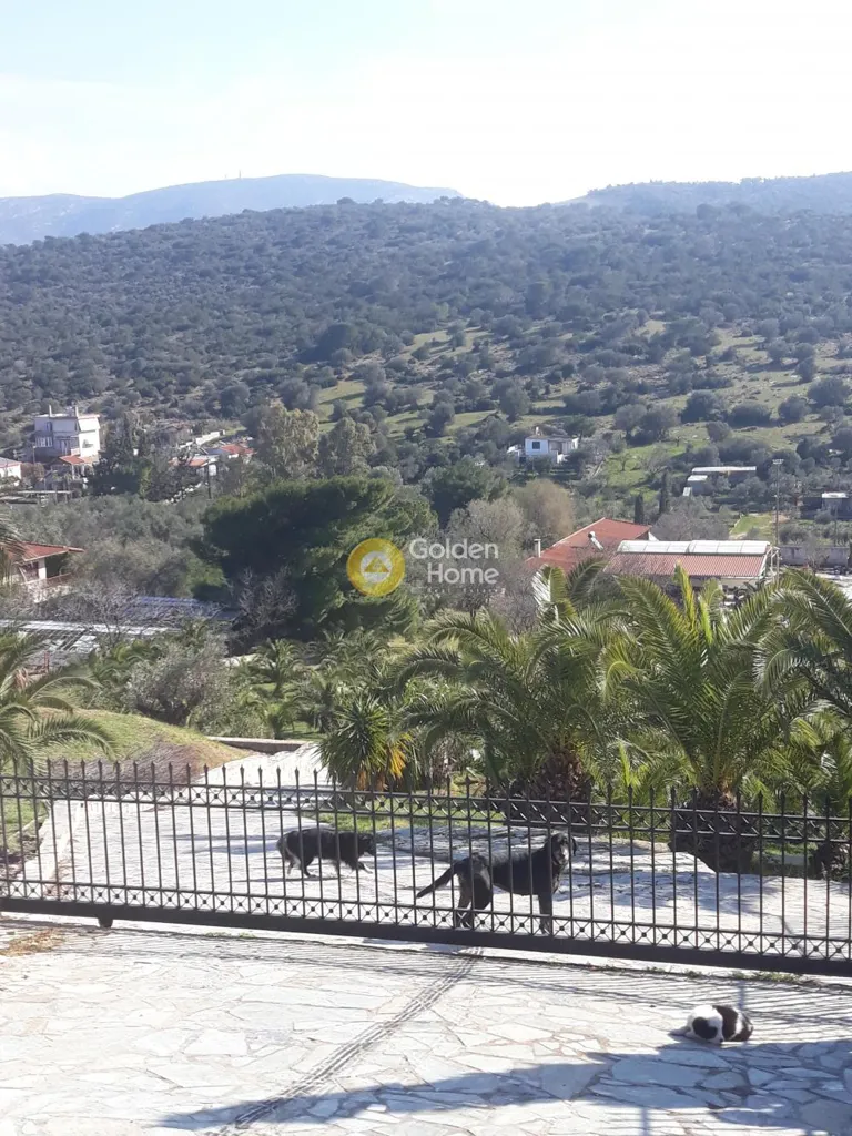 Terrasse - Villa with Sea View in Koropi