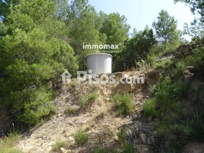 Aed - Rustic Finca with Stone Cottage in Caseres