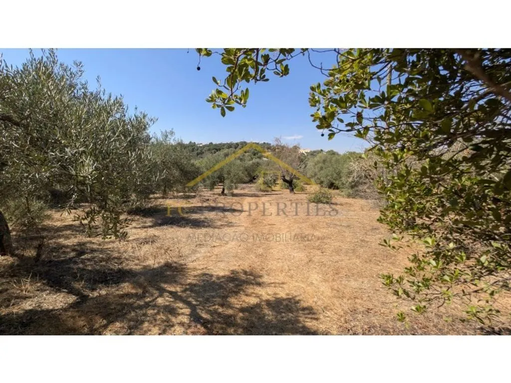 Jardin - Traditional Farmhouse with Nature Setting in Tavira
