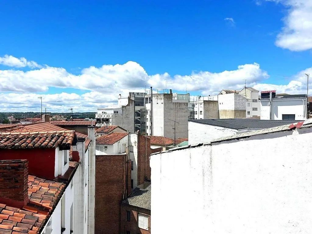 Balcon - Loft with Terrace in City Centre