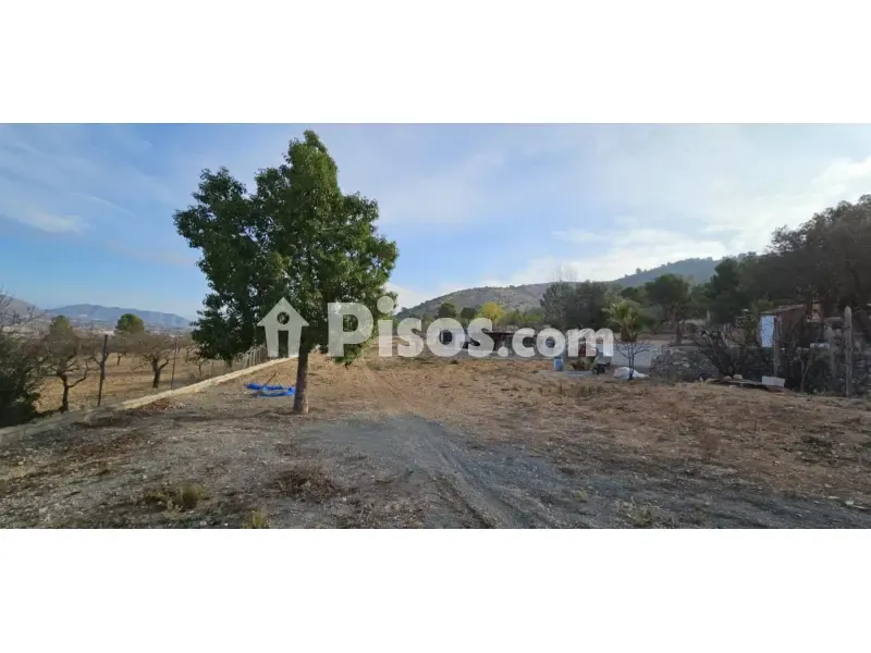 Jardin - Chalet with Pool in Hondón de Las Nieves