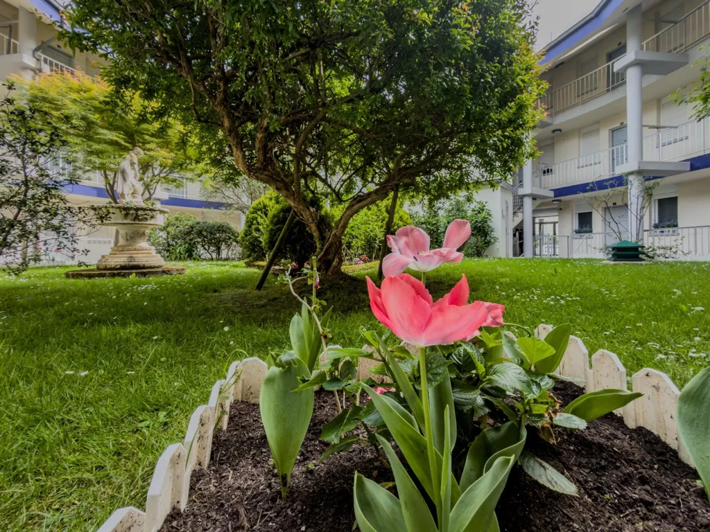 Jardin - Apartment with Sea View in Somo, Cantabria