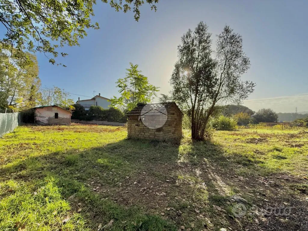 Rustico with Demolition Potential in Nepi